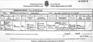 Harrison Birth Cert